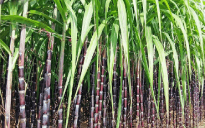 Review chi tiết Macbook Pro 2021