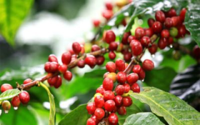 TV Samsung đang giảm giá mạnh, có mẫu giảm tới 15 triệu để kích cầu