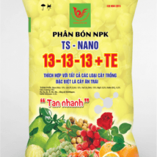 NPK TS NANO 13.13.13+TE